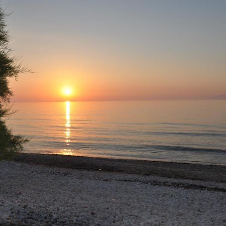 Tassos Apartments Corfu  Eksteriør bilde